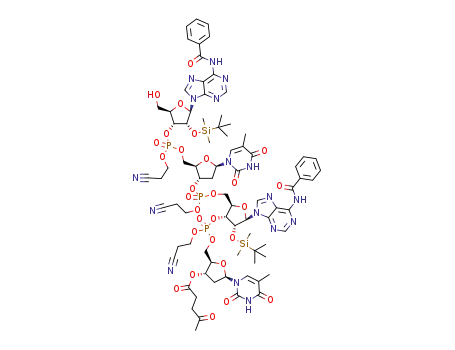 1220905-64-5