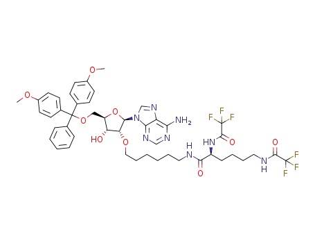 2'-O-[N<sub>2</sub>,N<sub>6</sub>-bis(trifluoroacetyl)lysyl]aminohexyl-5'-O-(4,4'-dimethoxytrityl)adenosine