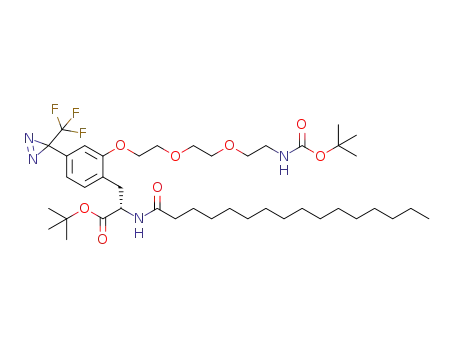 N-palmitoyl-3-[2-[2-[2-(2-tert-butoxycarbonylaminoethoxy)ethoxy]ethoxy]-4-[3-(trifluoromethyl)-3H-diazirin-3-yl]phenyl]-L-alanine tert-butyl ester