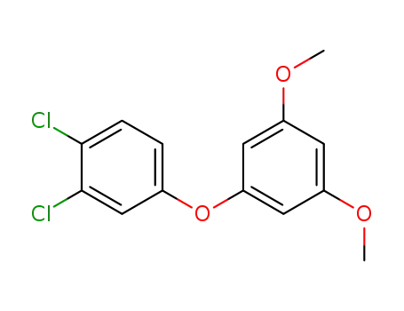 Molecular Structure of 1379803-46-9 (1,2-dichloro-4-(3,5-dimethoxyphenoxy)benzene)
