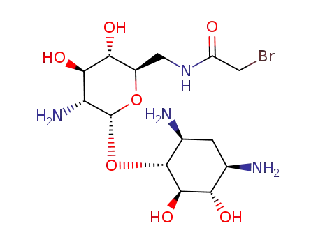 Molecular Structure of 220874-82-8 (N-6'-bromoacetylneamine)