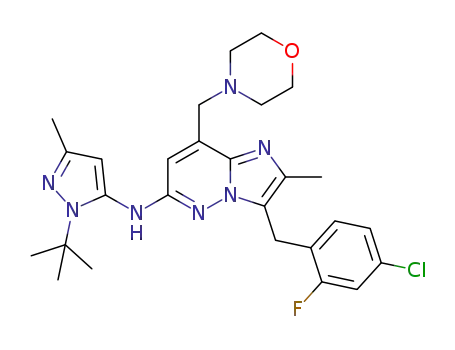 Molecular Structure of 1346221-91-7 (N-(1-tert-butyl-3-methyl-1H-pyrazol-5-yl)-3-(4-chloro-2-fluorobenzyl)-2-methyl-8-(morpholinomethyl)imidazo[1,2-b]pyridazin-6-amine)