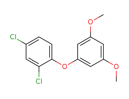 Molecular Structure of 1379803-44-7 (2,4-dichloro-1-(3,5-dimethoxyphenoxy)benzene)