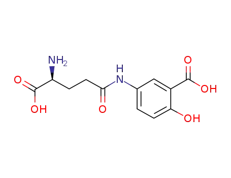 Molecular Structure of 74929-17-2 (L-GLUTAMIC ACID GAMMA-(3-CARBOXY-4-HYDROXYANILIDE))