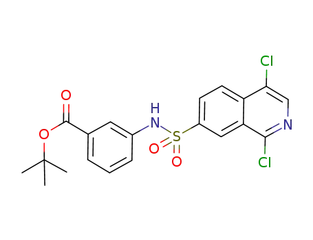 tert-butyl 3-{[(1,4-dichloro-7-isoquinolinyl)sulphonyl]amino}benzoate