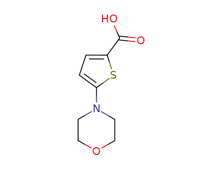 2-Thiophenecarboxylicacid, 5-(4-morpholinyl)-