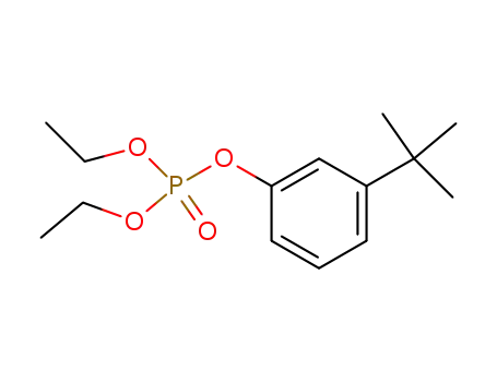 Molecular Structure of 13538-33-5 (Phosphoric acid, 3-(1,1-dimethylethyl)phenyl diethyl ester)
