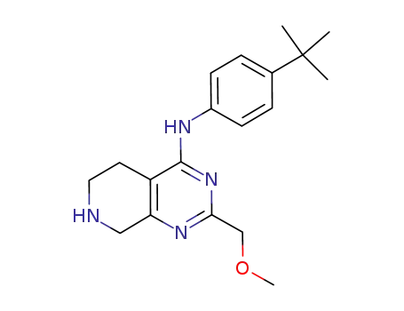 Molecular Structure of 859825-19-7 (N-(4-tert-butylphenyl)-5,6,7,8-tetrahydro-2-(methoxymethyl)pyrido[3,4-d]pyrimidin-4-amine)