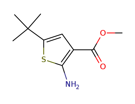 Molecular Structure of 216574-71-9 (methyl 2-amino-5-tert-butylthiophene-3-carboxylate)