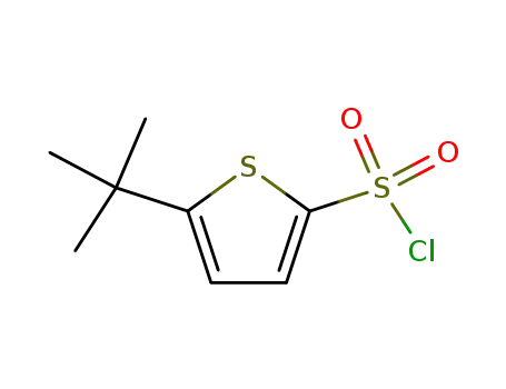 Molecular Structure of 179400-17-0 (5-tert.-butyl-thiophene-2-sulfonyl chloride)