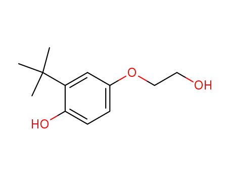 Molecular Structure of 143450-98-0 (Phenol, 2-(1,1-dimethylethyl)-4-(2-hydroxyethoxy)-)