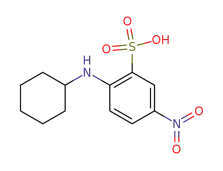 Molecular Structure of 94412-37-0 (Benzenesulfonic acid, 2-(cyclohexylamino)-5-nitro-)