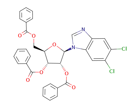 5,6-dichloro-1-(2,3,5-tri-O-benzoyl-β-D-ribofuranosyl)benzimidazole