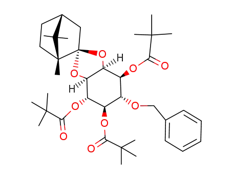 Molecular Structure of 138480-21-4 (D-6-O-benzyl-2,3-O-(D-1,7,7-trimethyl<2.2.1>bicyclohept-2-ylidene)-1,4,5-tri-O-trimethyl-acetyl-myo-inositol)