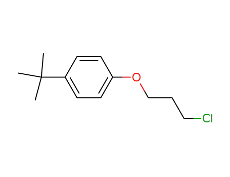 Molecular Structure of 100620-48-2 (Benzene, 1-(3-chloropropoxy)-4-(1,1-dimethylethyl)-)