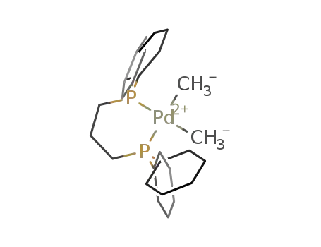 Molecular Structure of 343987-36-0 ((1,3-bis(dicyclohexylphosphino)propane)dimethylpalladium(II))