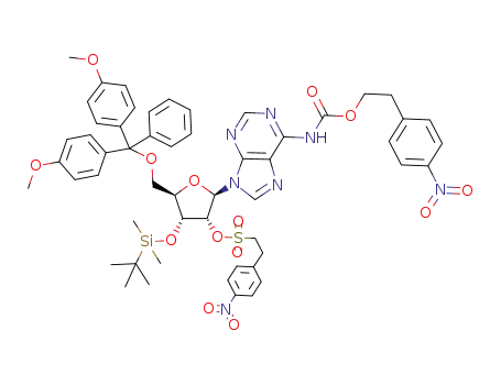 3'-O-<(tert-butyl)dimethylsilyl>-5'-O-(dimethoxytrityl)-N<sup>6</sup>-<2-(4-nitrophenyl)ethoxycarbonyl>-2'-O-<2-(4-nitrophenyl)ethylsulfonyl>adenosine