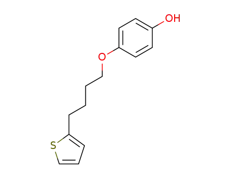 Molecular Structure of 238752-64-2 (4-(4-thiophen-2-yl-butoxy)-phenol)