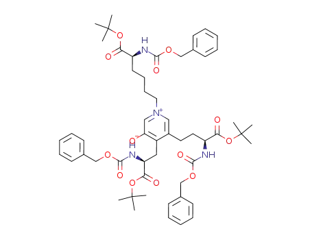 N,N,N-트리(벤질옥시카르보닐)데옥시피리디놀린 트리-(tert-부틸) 에스테르
