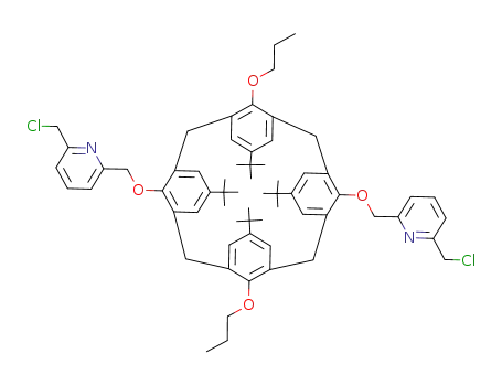 Molecular Structure of 350022-44-5 (25,27-bis(6-chloromethyl-2-pyridylmethoxy)-2,4-dipropoxy-5,11,17,23-tetra-tert-butylcalix[4]arene)