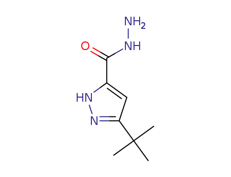 Molecular Structure of 262292-02-4 (3-(tert-Butyl)-1H-pyrazole-5-carbohydrazide)