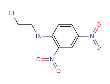 Molecular Structure of 16830-65-2 (N-(2-chloroethyl)-2,4-dinitroaniline)