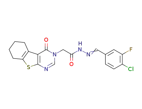 Molecular Structure of 1345512-55-1 (N'-[(3-fluoro-4-chlorophenyl)methylene]-(4-oxo-5,6,7,8-tetrahydro-benzo[4,5]thieno[2,3-d]pyrimidin-3(4H)-yl)acetohydrazone)