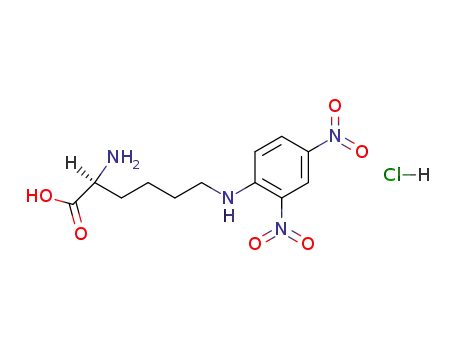 ε-DNP-L-リシン塩酸塩