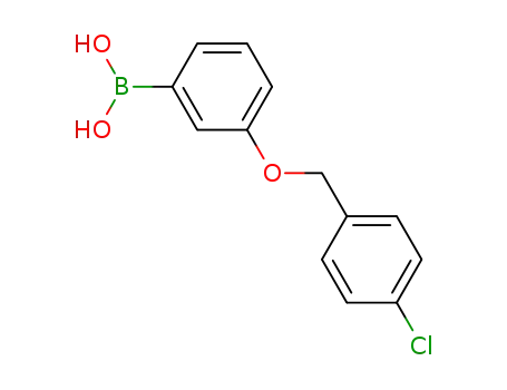 Molecular Structure of 870778-90-8 (3-(4'-CHLOROBENZYLOXY)PHENYLBORONIC ACID)