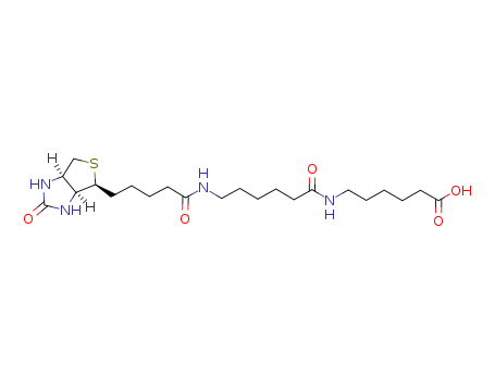 6-((6-((Biotinoyl)amino)hexanoyl)amino) hexanoic acid