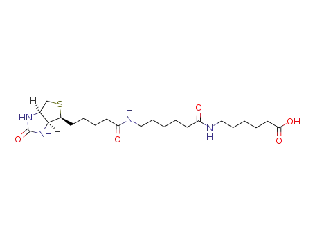 Molecular Structure of 89889-51-0 (LC-LC(+)-Biotin)