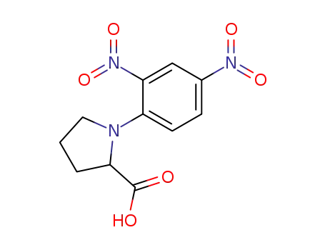 Molecular Structure of 10200-25-6 (N-(2,4-Dinitrophenyl)proline)