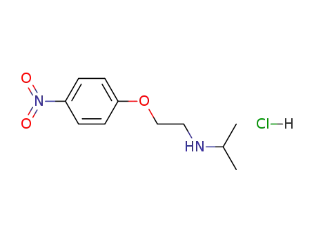 Molecular Structure of 85002-91-1 (Isopropyl-[2-(4-nitro-phenoxy)-ethyl]-amine; hydrochloride)