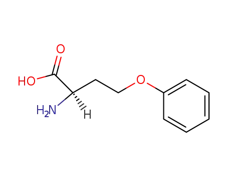 <i>O</i>-phenyl-D-homoserine