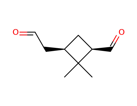시클로부탄아세트알데히드, 3-포르밀-2,2-디메틸-, (1R,3R)-(9CI)