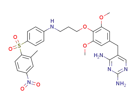 Molecular Structure of 176512-48-4 (2,4-diamino-5-<3,5-dimethoxy-4-<3-(4'-(2''-methyl-4''-nitrophenyl)sulfonylanilino)propoxy>benzyl>pyrimidine)