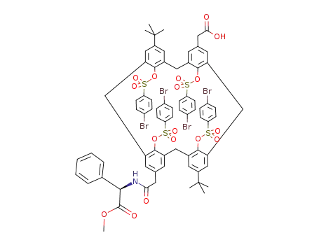 5-(carboxymethyl)-17-[({N-[(carbomethoxyphenyl)methyl]amino}carbonyl)methyl]-11,23-di-tert-butyl-25,26,27,28-tetrakis[[(p-bromophenyl)sulfonyl]oxy]calix[4]arene
