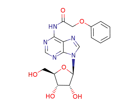 N6-Phenoxyacetyladenosine