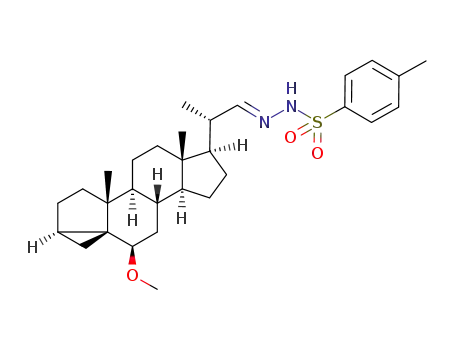 Molecular Structure of 279222-12-7 (3α,5-cyclo-23,24-dinor-6β-methoxy-5α-cholane-24-al (E)-tosylhydrazone)