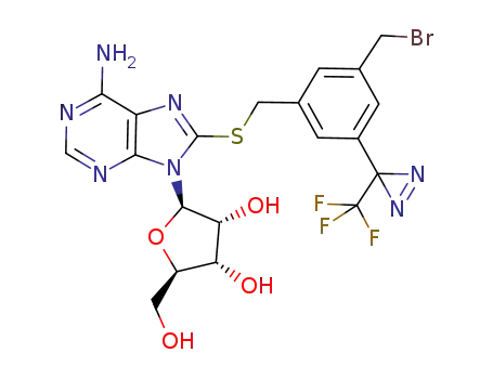 Adenosine,
8-[[[3-(bromomethyl)-5-[3-(trifluoromethyl)-3H-diazirin-3-yl]phenyl]methyl
]thio]-