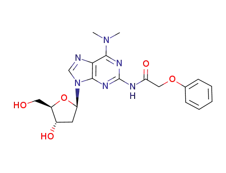 Molecular Structure of 375345-64-5 (<i>N</i>-[6-dimethylamino-9-(4-hydroxy-5-hydroxymethyl-tetrahydro-furan-2-yl)-9<i>H</i>-purin-2-yl]-2-phenoxy-acetamide)