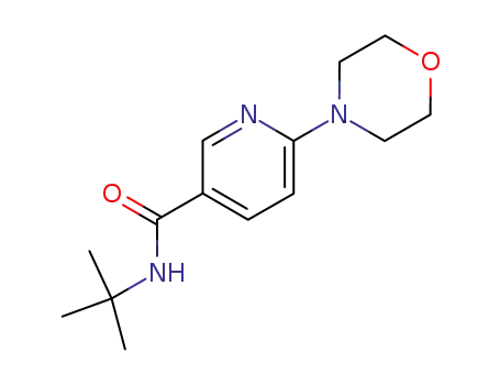 N-tert-butyl-6-(morpholin-4-yl)-nicotinamide