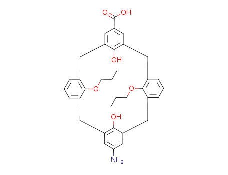 Molecular Structure of 702699-88-5 (11-amino-23-hydroxycarbonyl-25,27-dihydroxy-26,28-dipropoxypentacyclo[19.3.1.1<sup>3,7</sup>.1<sup>9,13</sup>.1<sup>15,19</sup>]octacosa-1<sup>(25)</sup>,3,5,7<sup>(28)</sup>,9,11,13<sup>(27)</sup>,15,17,19<sup>(26)</sup>,21,23-dodecene)
