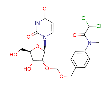 2'-O-[[[4-[N-(dichloroacetyl)-N-methylamino]benzyl]oxy]methyl]uridine