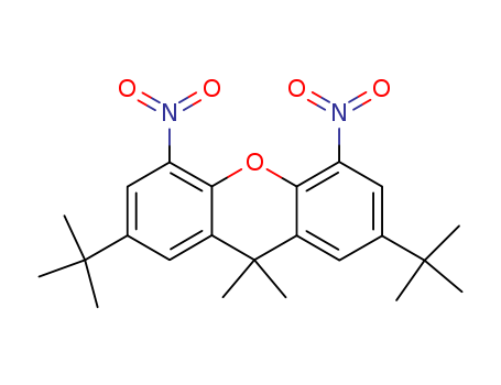 9H-Xanthene, 2,7-bis(1,1-dimethylethyl)-9,9-dimethyl-4,5-dinitro-