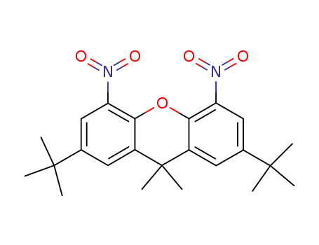 Molecular Structure of 607374-47-0 (9H-Xanthene, 2,7-bis(1,1-dimethylethyl)-9,9-dimethyl-4,5-dinitro-)