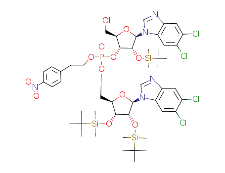 1-(2-O-tert-butyldimethylsilyl-β-D-ribofuranosyl)-5,6-dichlorobenzimidazolyl-(2'-<O<sup>P</sup>-<2-(4-nitrophenyl)ethyl>>->5')-5,6-dichloro 1-(2,3-di-O-tert-butyldimethylsilyl-β-D-ribofuranosyl)benzimidazole
