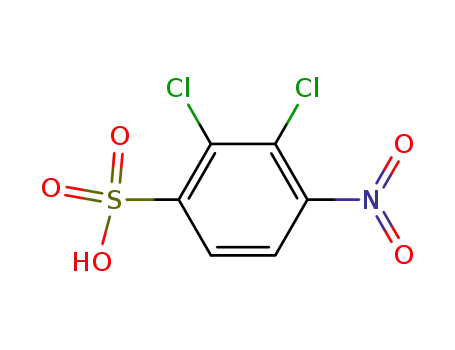 Benzenesulfonic acid, 2,3-dichloro-4-nitro-
