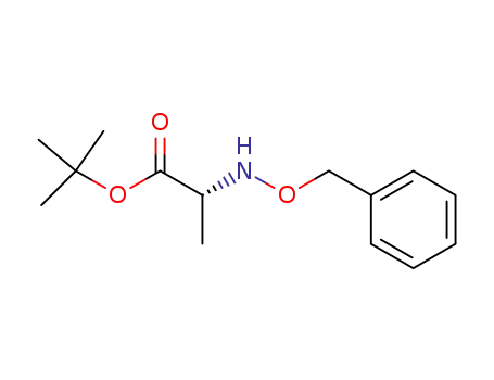 (R)-2-Benzyloxyamino-propionic acid tert-butyl ester