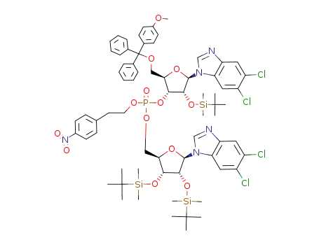 1-(2-O-tert-butyldimethylsilyl-5-O-p-methoxytrityl-β-D-ribofuranosyl)-5,6-dichlorobenzimidazolyl-(2'-<O<sup>P</sup>-2-(4-nitrophenyl)ethyl>->5'>-5,6-dichloro 1-(2,3-di-O-tert-butyldimethylsilyl-β-D-ribofuranosyl)benzimidazole